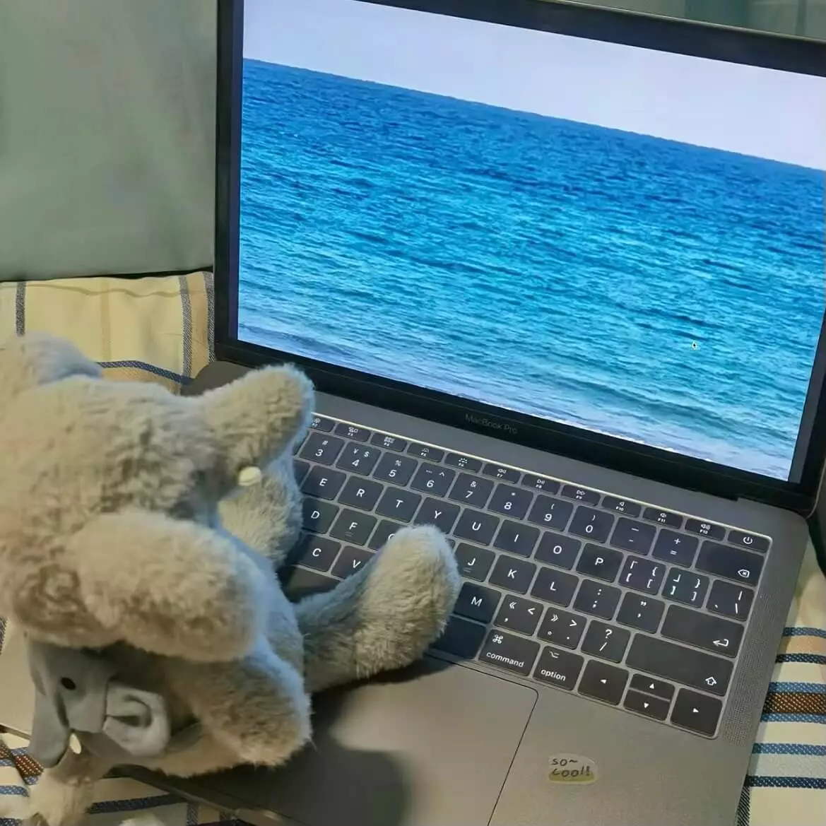 白嫖 1TB S3 存储空间